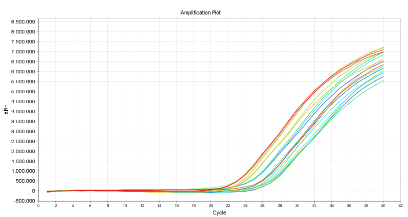 qPCR amp plot